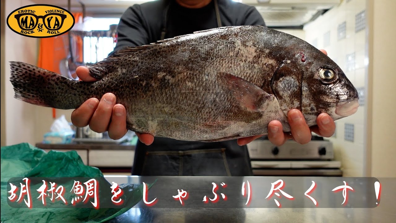 コショウダイをしゃぶり尽くす！イタリアンで晩酌