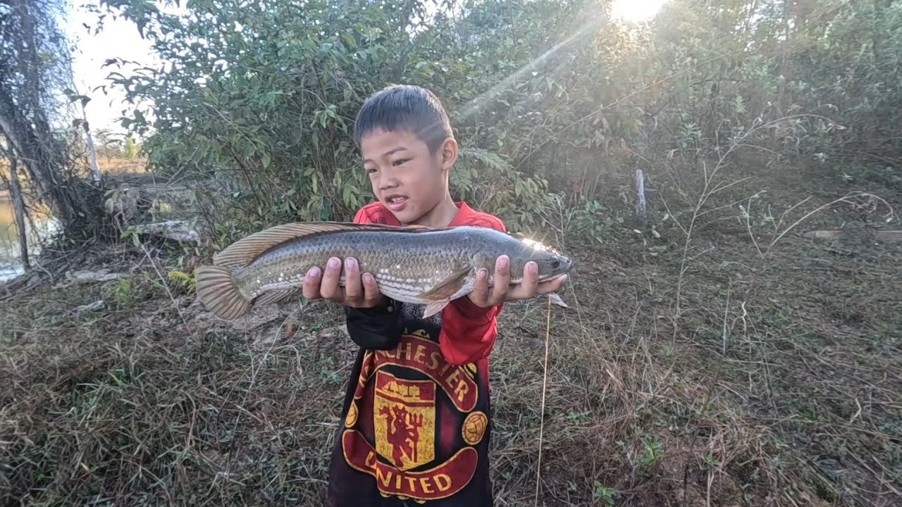 ผูผาหมานปลาค้อไหญ่//ຜູຜາໝານປາຄໍ້ໄຫຍ່4 กุมภาพันธ์ ค.ศ. 2026