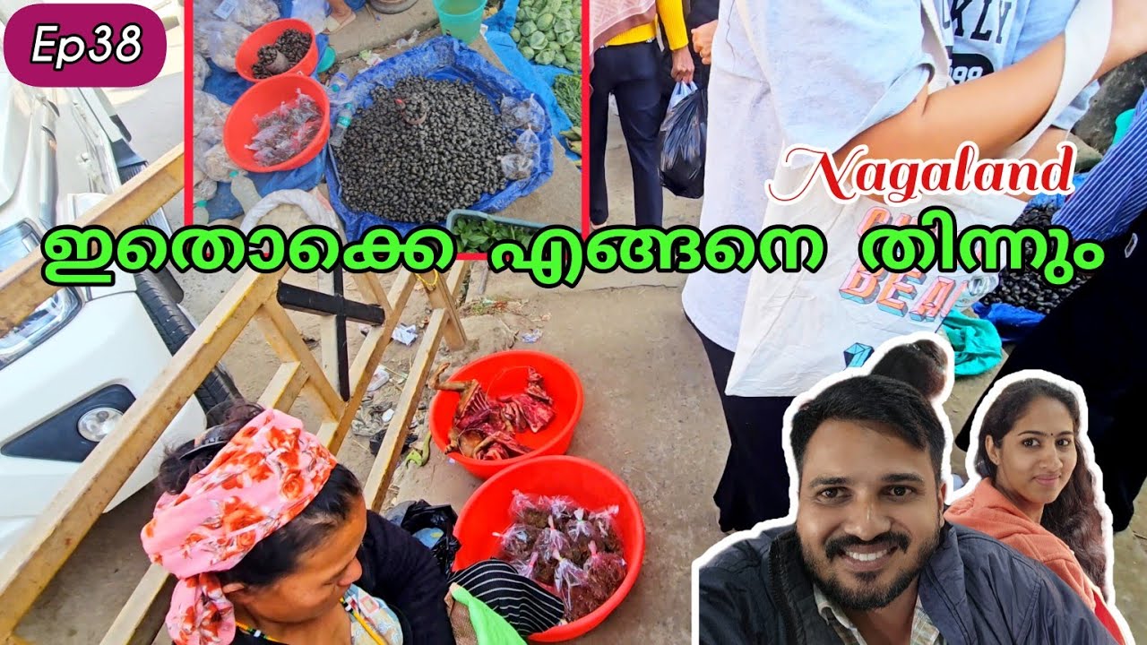 നാഗാലാ‌ൻഡ് വിചാരിച്ച പോലെ അല്ല || Ep 38 || anybody can do || van life in india || Nagaland
