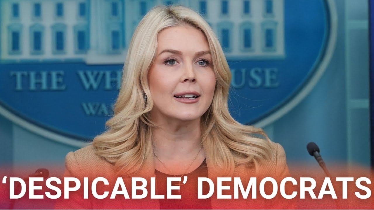 ‘Despicable’: Karoline Leavitt blasts Democrats for encouraging left-wing agitators