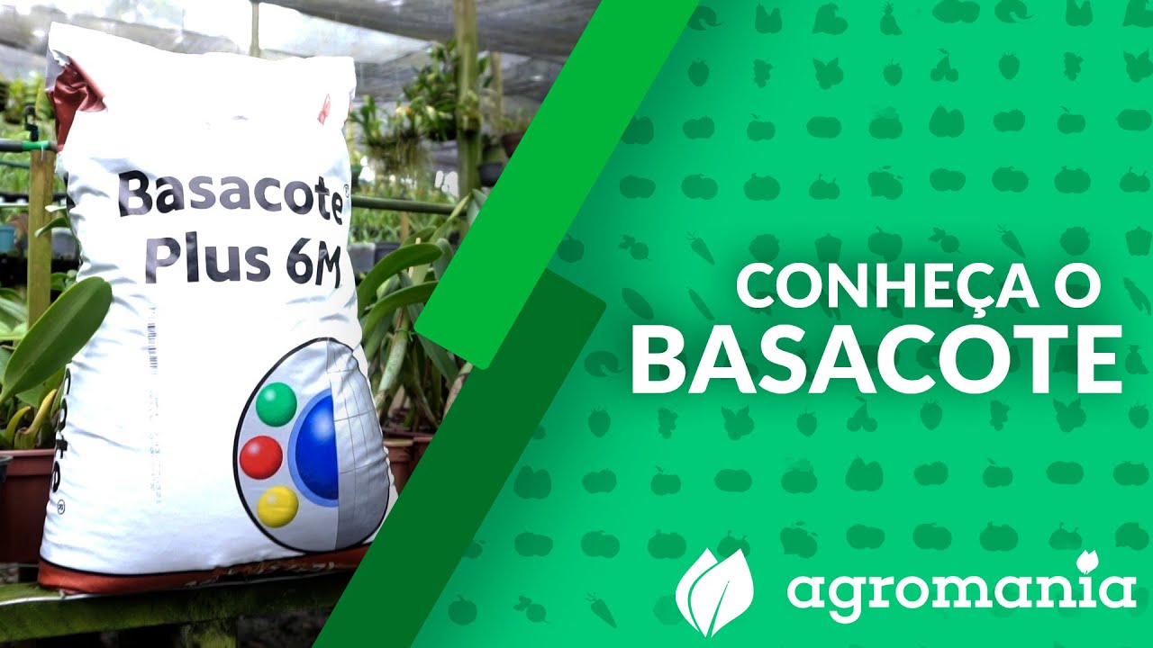 Como cultivar utilizando o fertilizante BASACOTE