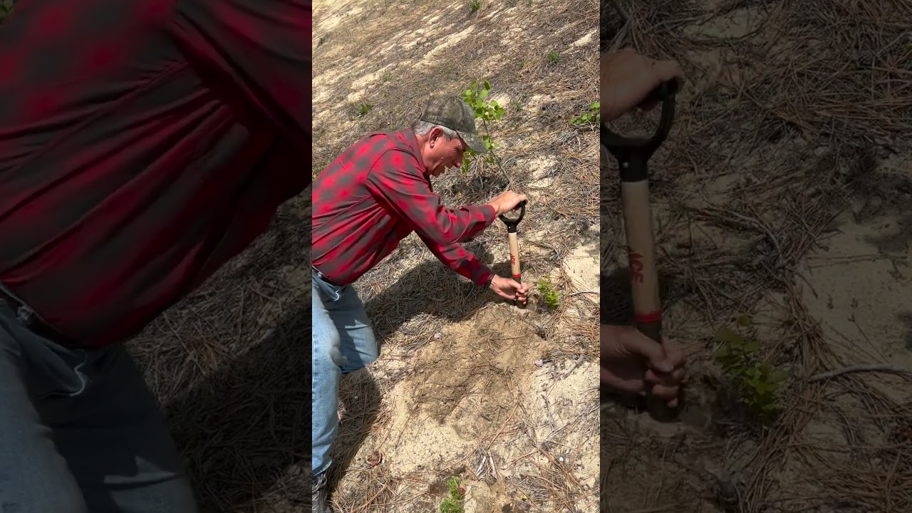 Посадка на склоне | Демонстрация правильной посадки | Советы профессионалов