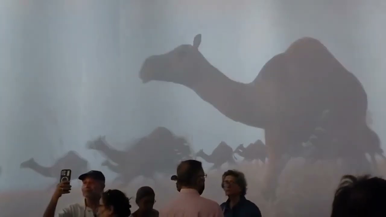 The Smritivan 3D Show