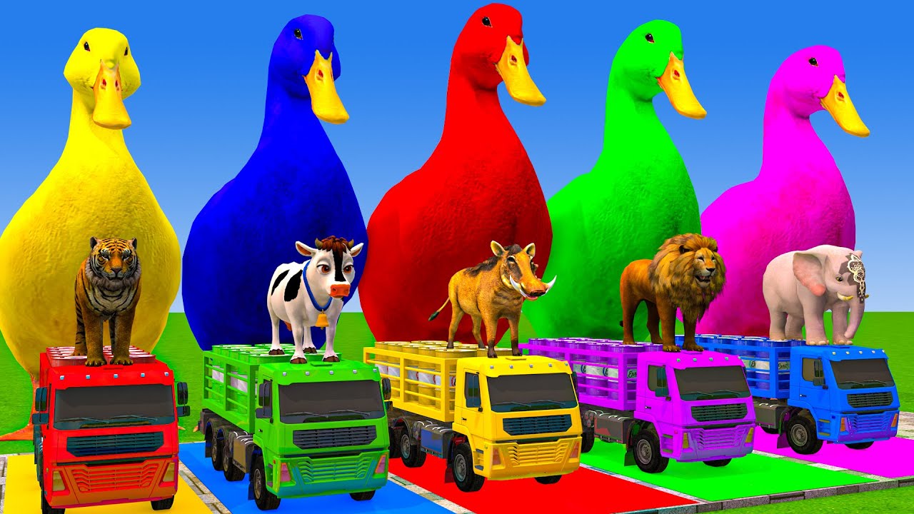 5 Giant Duck Cartoon,Cow,Elephant,Tiger,Lion,Dinosaur,Paint Wild Animals Crossing Fountain Animation