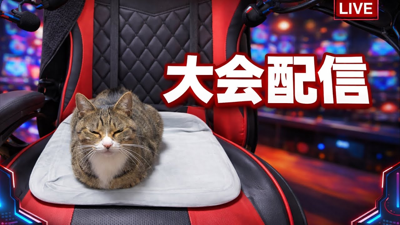 大会やる#フォートナイト#配信