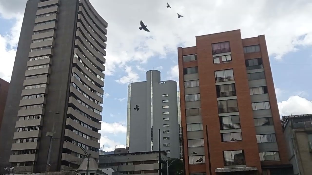 Parque bolivar 2