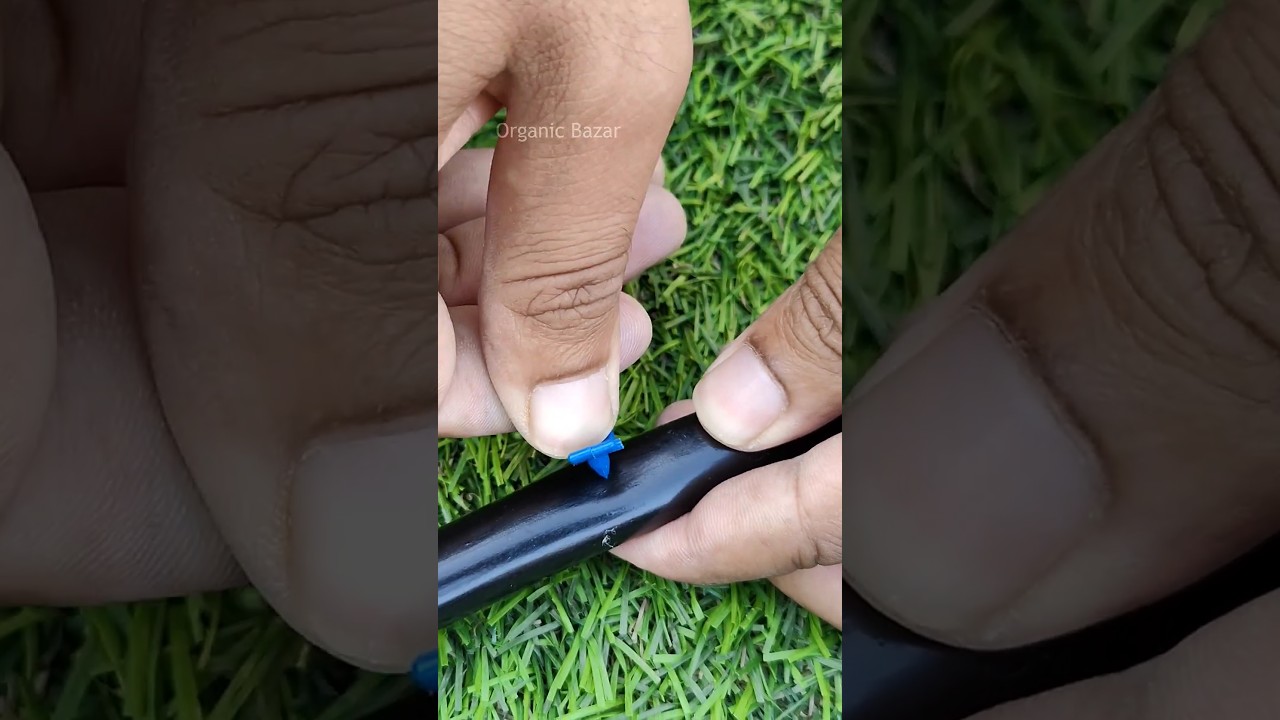 Drip irrigation system installation #gardening #terracegardening #dripirrigation #garden #plants