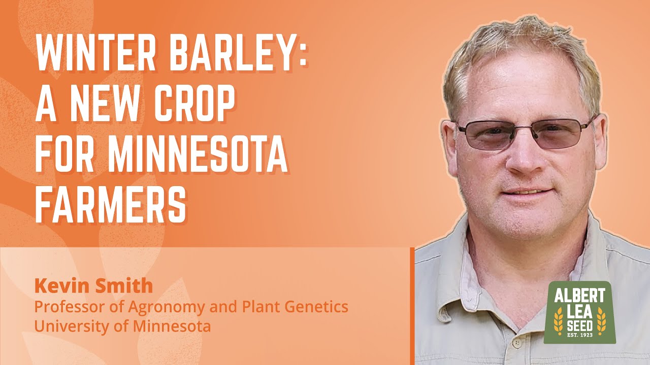Winter Barley: A New Crop for Minnesota Farmers