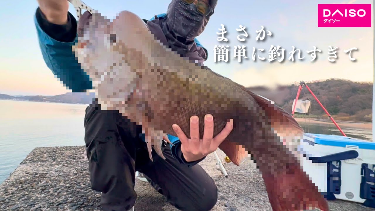 針とオモリだけ 60円の仕掛けにエビをつけて堤防に落とすと…