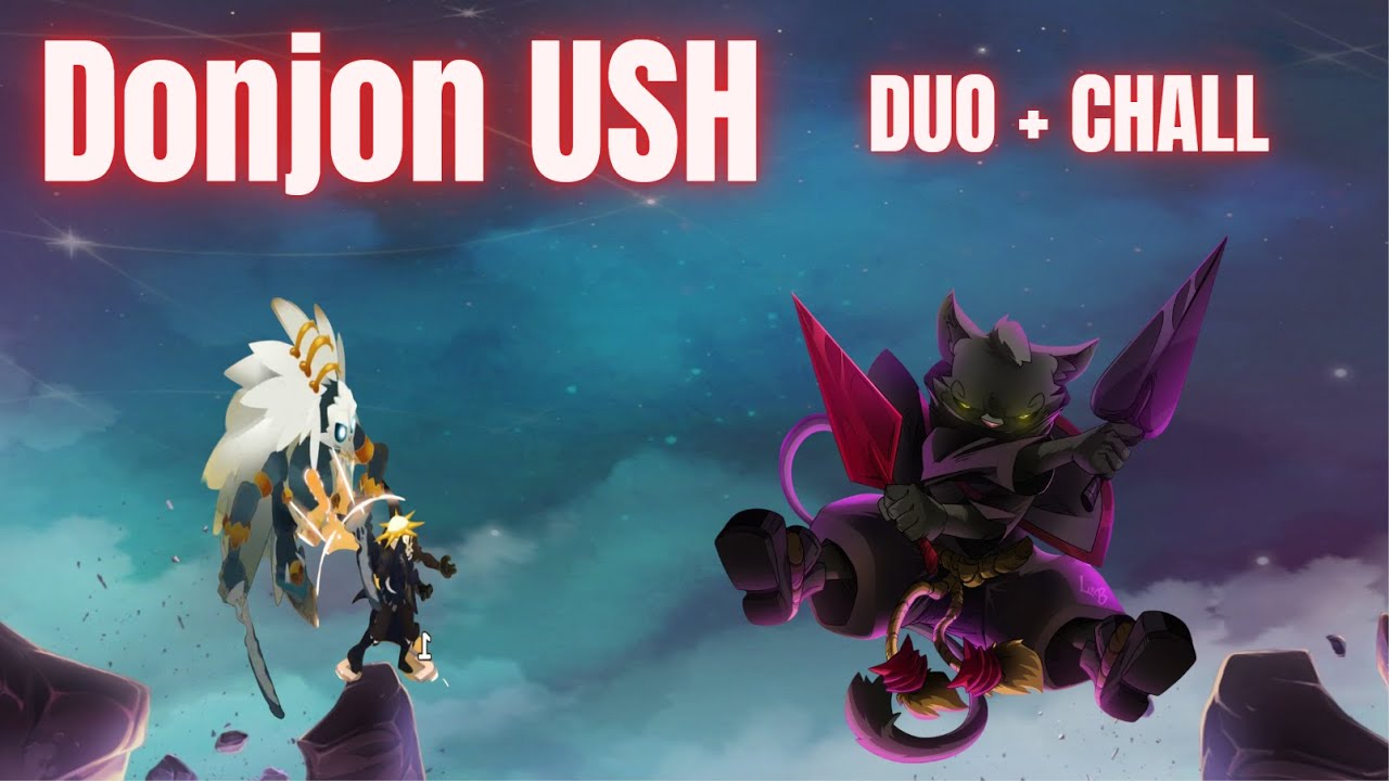 DOFUS UNITY - Ush DUO + Chall   sram 160