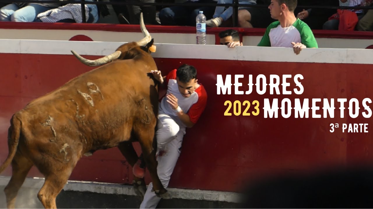 Mejores y peligrosos momentos 2023 // Tercera Parte