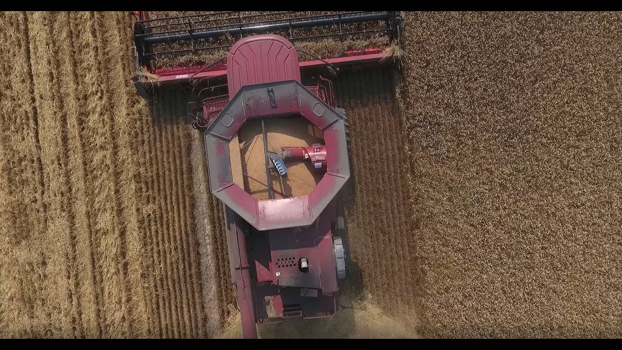 Farm to Table, Wheat to Bread