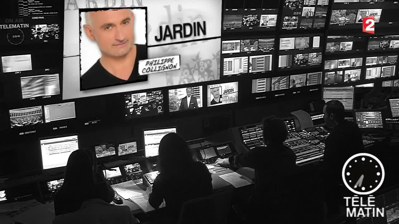 Jardin- Les secrets du bonzaï