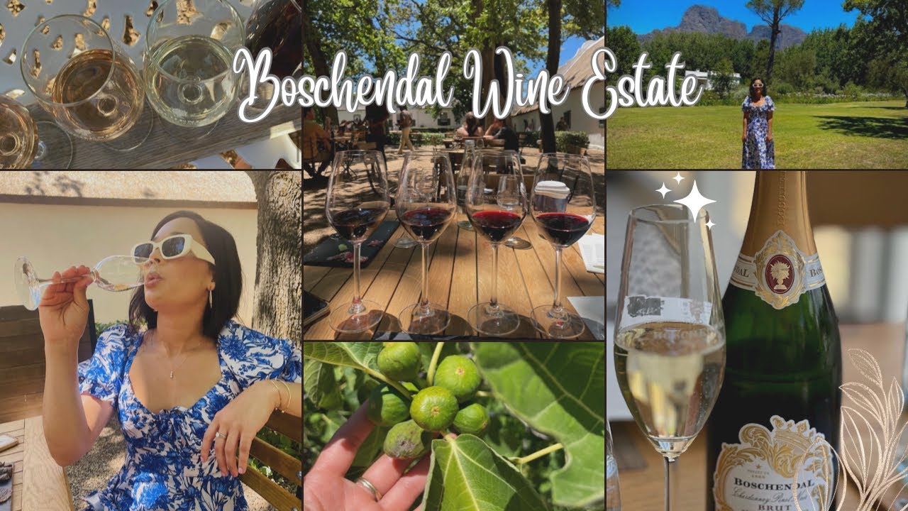 First Wine Tasting In Cape Town, Boschendal Wine Estate ❤️ #travelvlog
