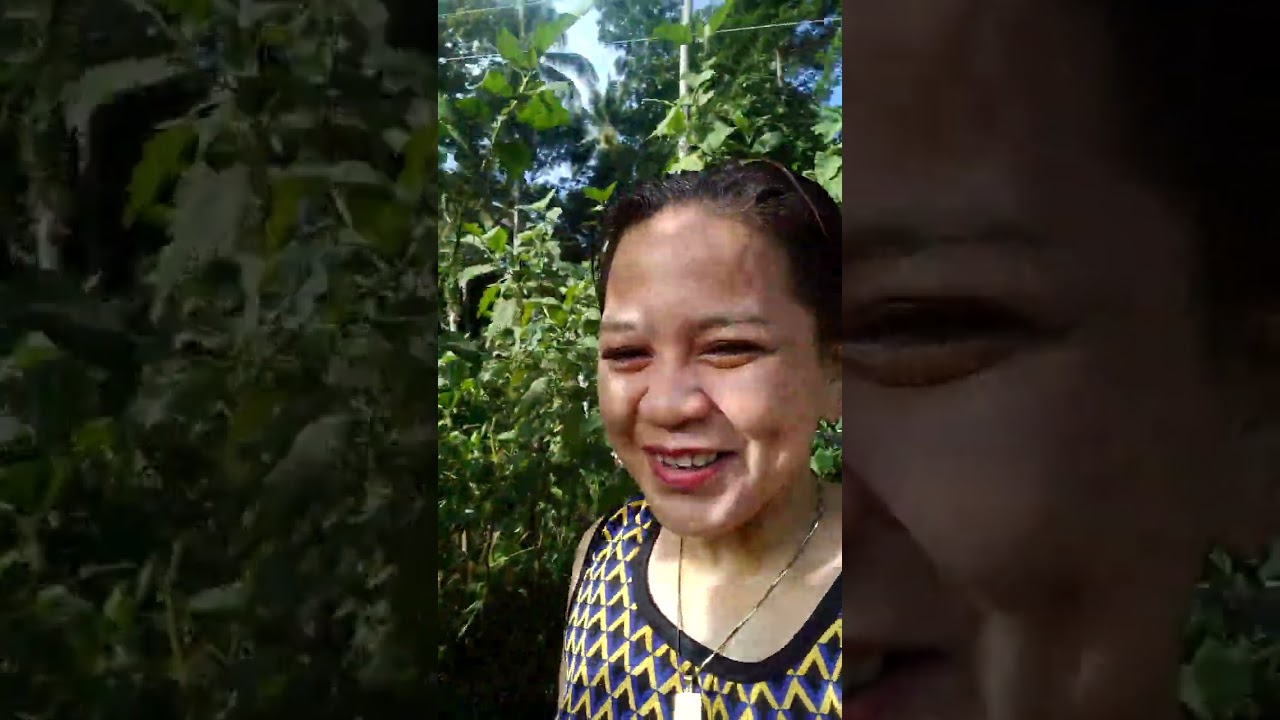 NGANU GIPANGTAPAS MAN??#tapas #tapastalongan #prunning #bukidlife #bisaya #Langgatv