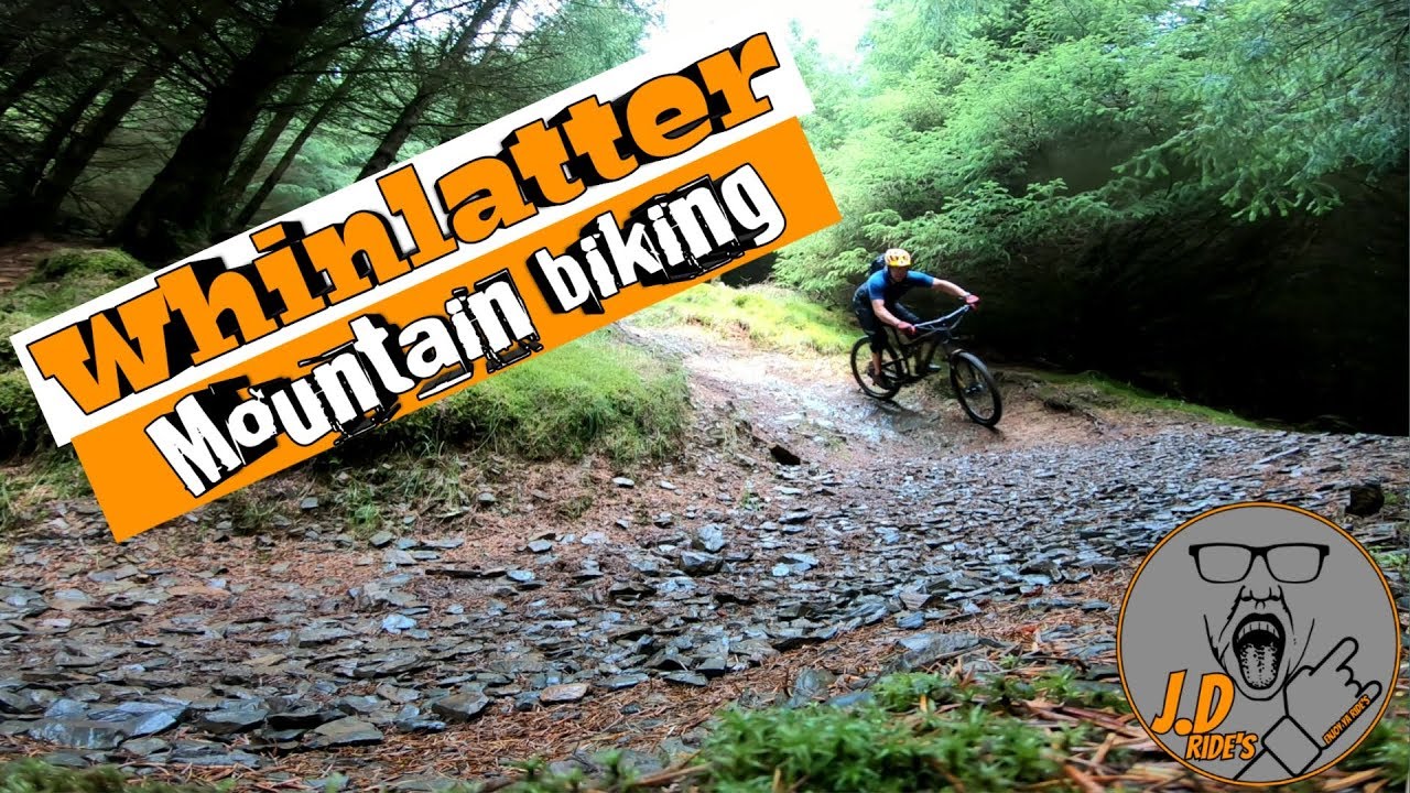 Whinlatter Mountain Biking (North Loop) Altura trail