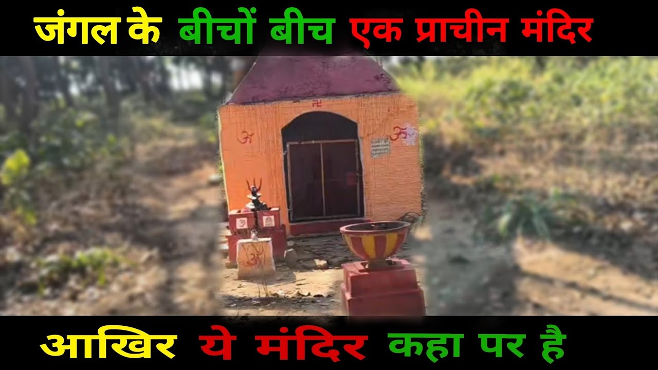 जंगली में प्राचीन मंदिर ||Ancient Temple in the Wild ||