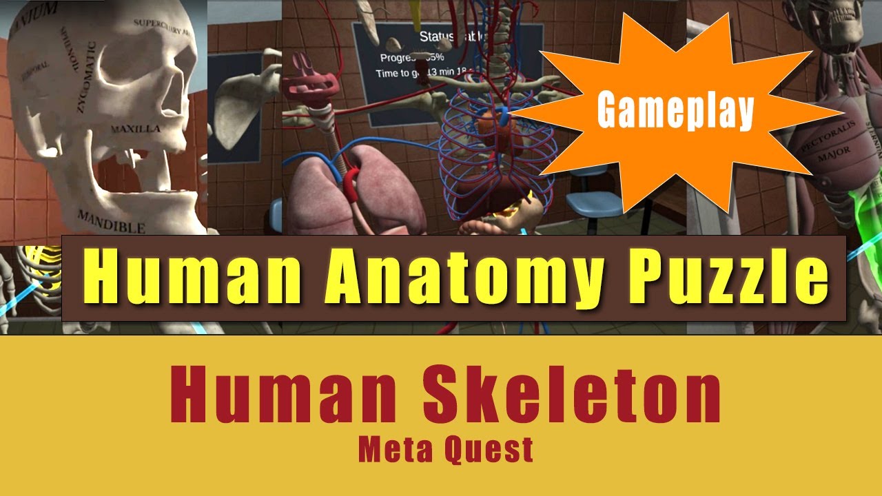 VR: Human Anatomy Puzzle - Education Game