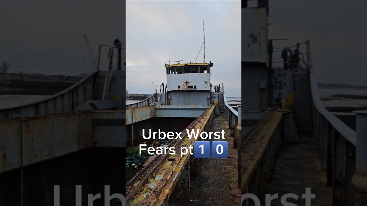 Bees 🐝⚠️Urbex Worst Fears pt1️⃣0️⃣#urbex #urbexphotography #urbexphoto #urbexpeople #urbexworld