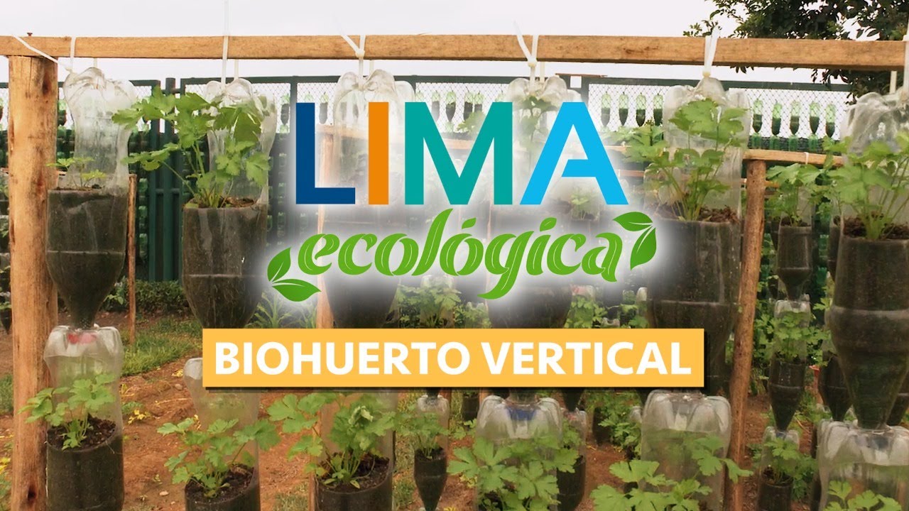 #LimaEcológica: Descubre los encantos del biohuerto vertical del Parque del Aire