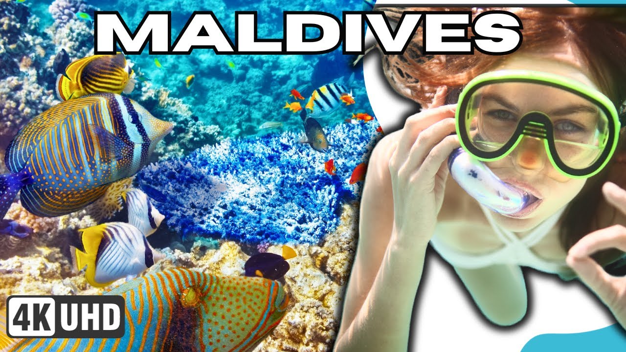mesmerizing  Maldives ,  beneath the waves