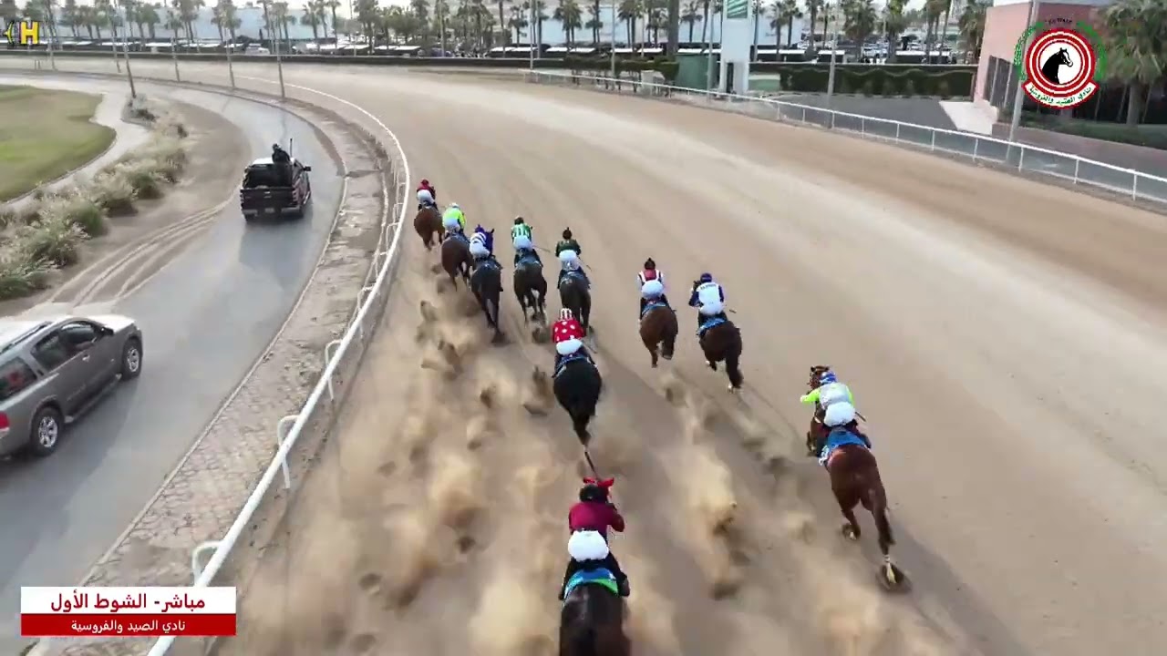 الاجتماع ( 9 ) الشوط ( 1 ) الجواد مياد جولد / اسطبل البرازي