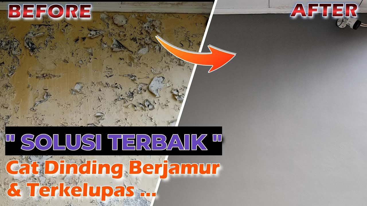 Tutorial Cara Perbaikan Cat Dinding Terkelupas - Solusi Terbaik Cat Dinding Berjamur & Ngelotok