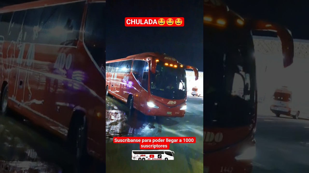 CHIAPANECO i8 en acción 
