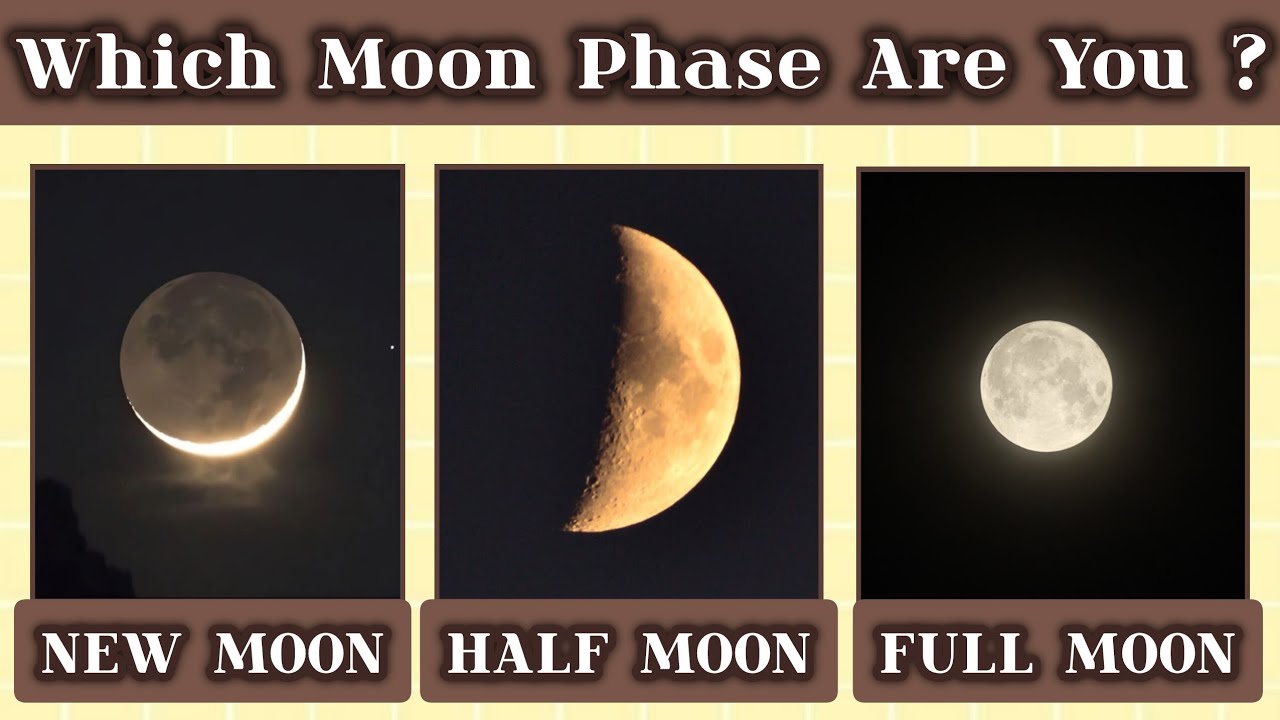 Which Moon Phase Matches Your Soul ? 🌙🌕🌑 Fun Personality Quiz @harni_bee 