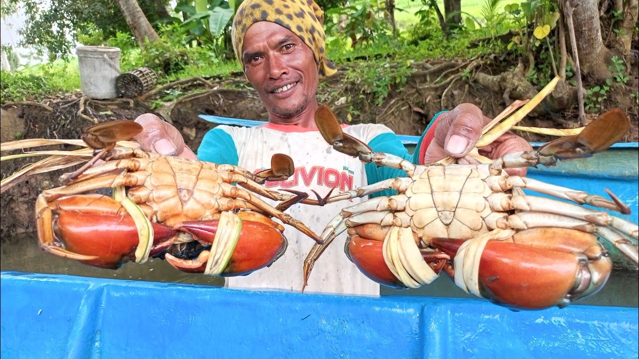 Berburu kepiting jumbo bersama @Bolangcilacap8901 
