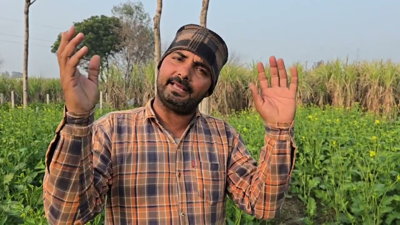 P-2 बर्दाश्त नहीं होगी गालियां थोड़ा तमीज में रहकर कमेंट करो आपके लिए ही फिरता हूं चारों तरफ..