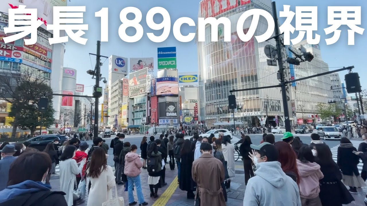 【vlog】高身長(189cm)の目線でvlog撮ってみた【高身長男子】