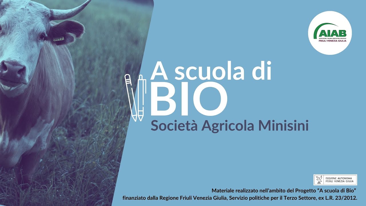 A scuola di Bio: allevamento biologico di vacche da latte