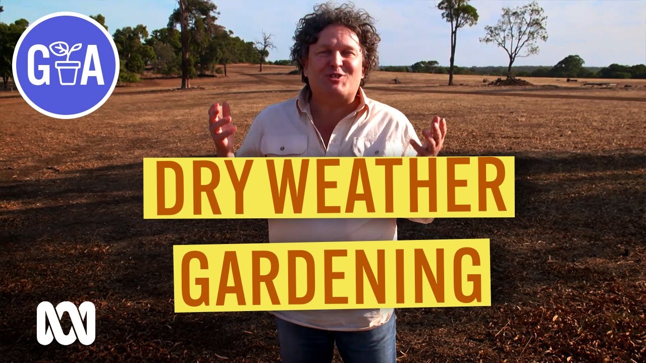 New Tool for Growing in Dry Weather | Discovery | Gardening Australia
