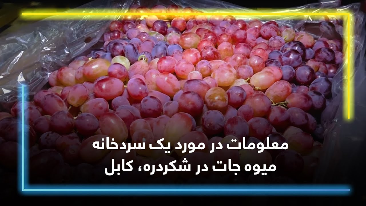 معلومات در مورد یک سردخانه میوه جات در شکردره، کابل