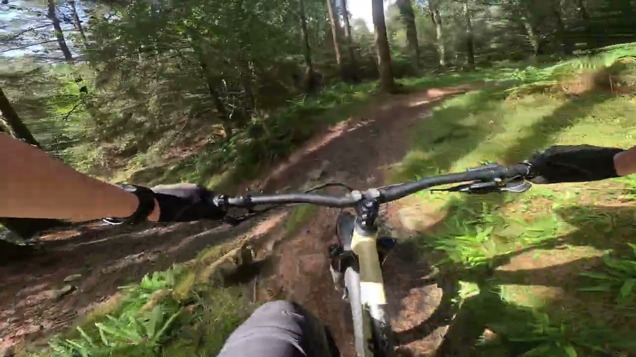 Kirroughtree - Little Park Doon Hill (hardtail)