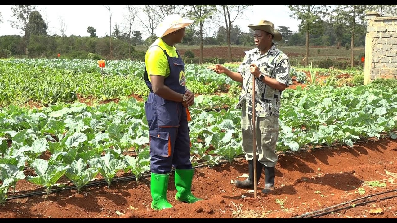 Ũrĩmi wa kĩrĩũ (Modern farming) na Bishop Mark Kariuki. Part 1