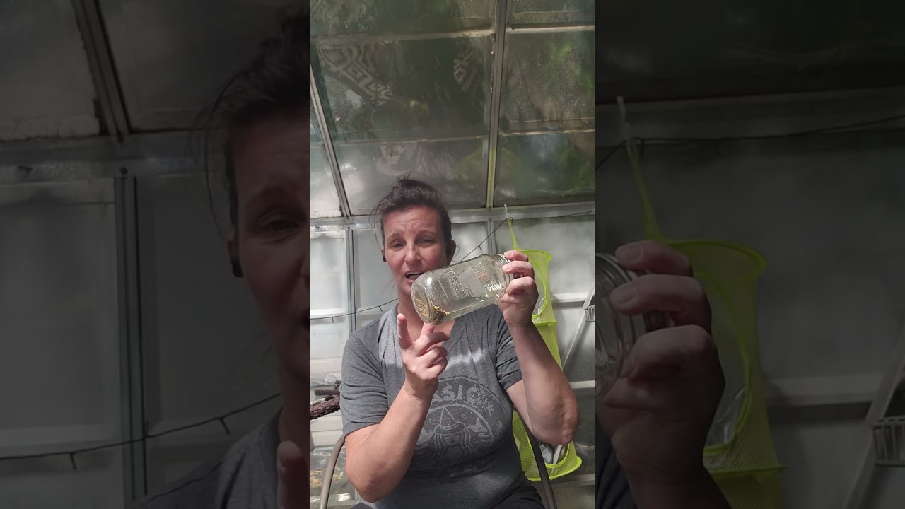 Greenhouse chats: the words we use