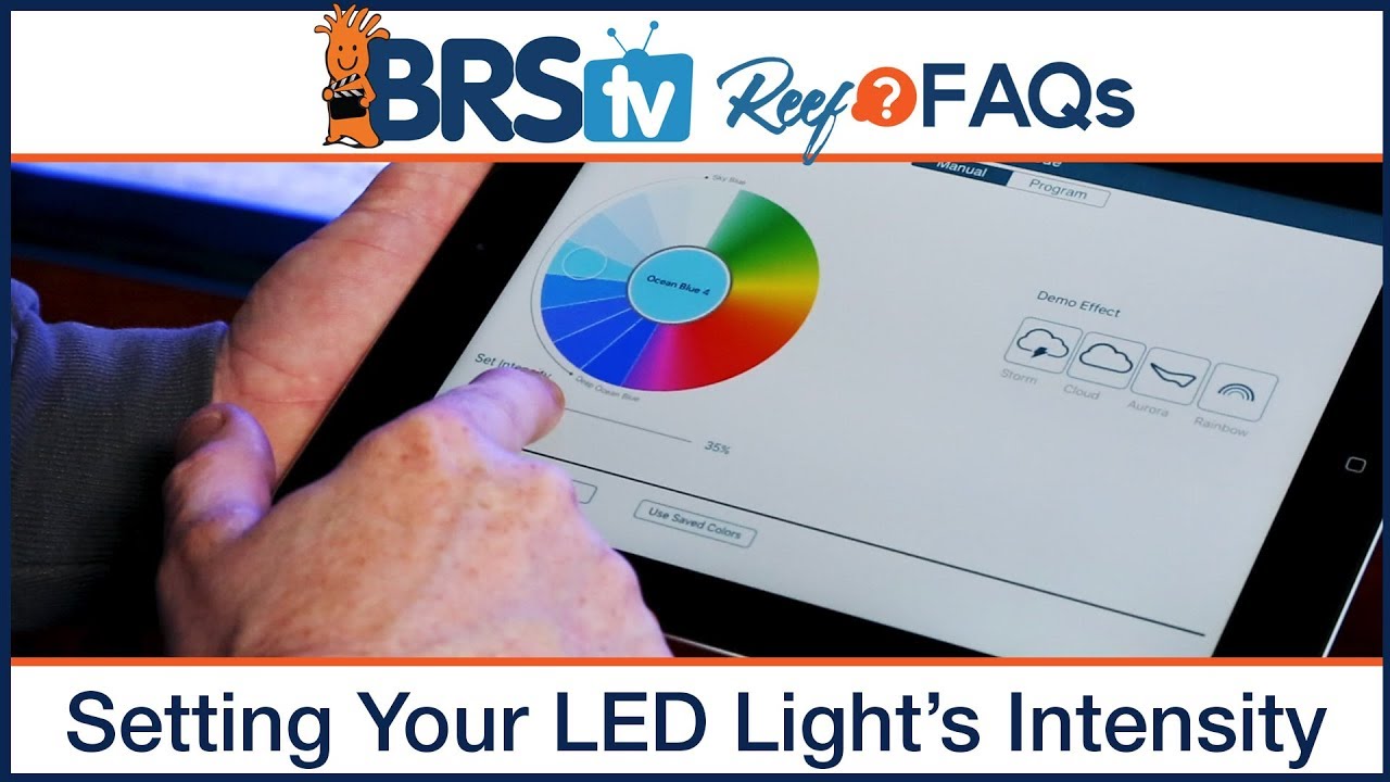 PAR & Reef Tank Lighting Schedules: What's the ideal program for LED aquarium lighting? | Reef FAQs
