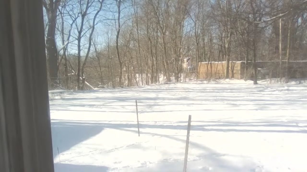 Snowy+Cold Nature Stream Cleve Ohio w Lofi Music/16 Degrees Windchill 1 Degree