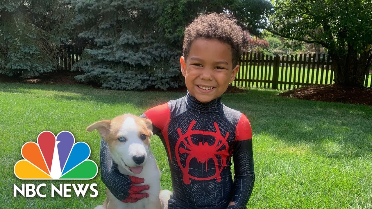 Why So Many People Are Adopting Puppies During The Pandemic | Nightly News: Kids Edition