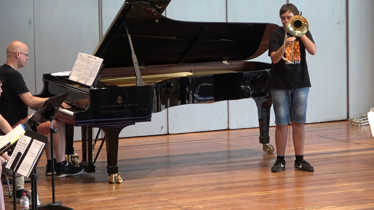 Iván Plaus, 15 years. Sulek, Sonata 