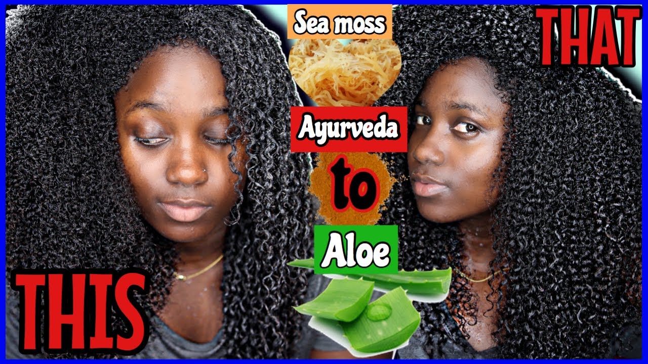 CURLS ON POP! DIY Natural Hair Deep Conditioner with ALOE VERA, SEA MOSS + Ayurvedic Powders