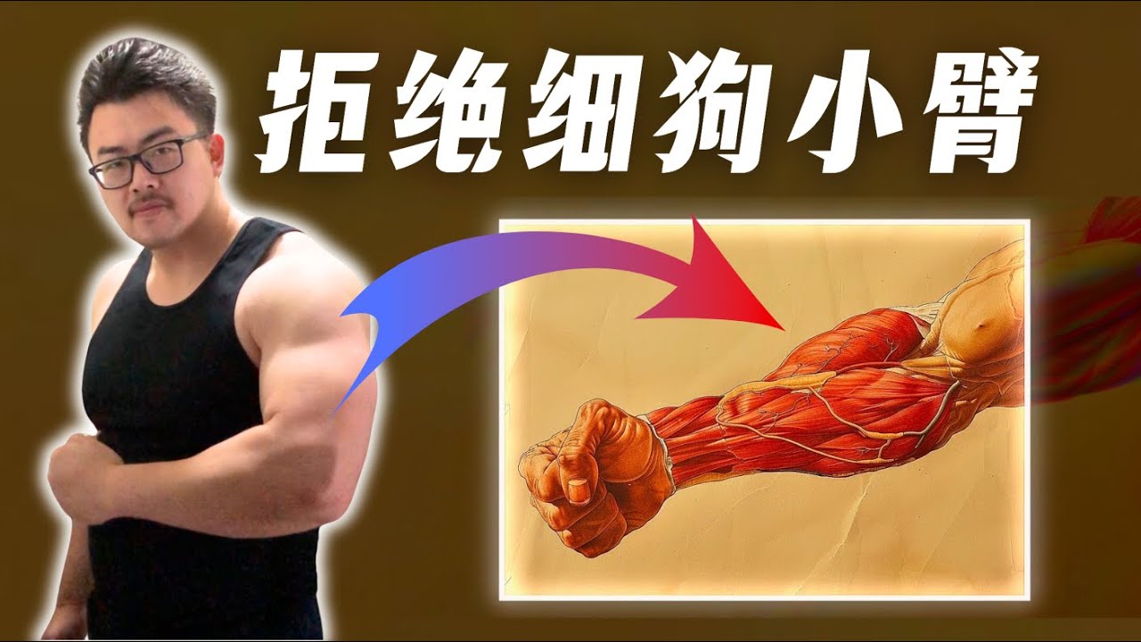 【全网最详细】一口气讲完如何增粗小臂｜含训练计划｜运动学博士的解析