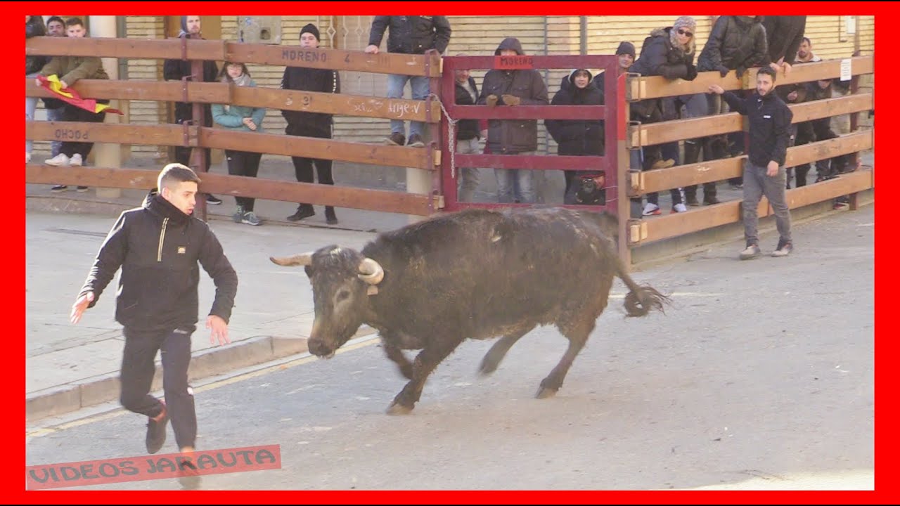 CAPARROSO ( NAVARRA ) MATINAL VACAS CALLE ( DOMINGO 22 ENERO 2023 ) BRETOS FERNANDEZ