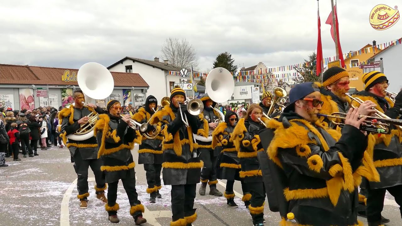 Narrentreffen 2016 Hohentengen