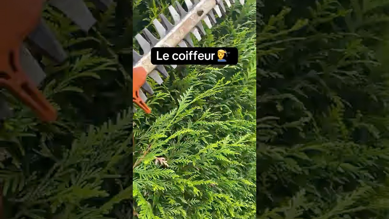 #potager #jardin #astuce #permaculture #nature #naturelovers #agriculture #jardinage