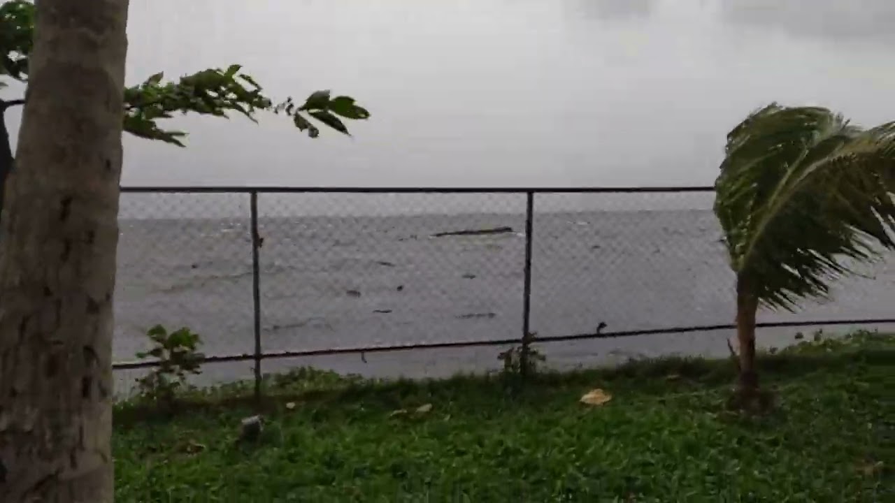 #alappuzha #canopy #rain #windy #lake #family #gettogether #fun #happiness #nature #weather #season