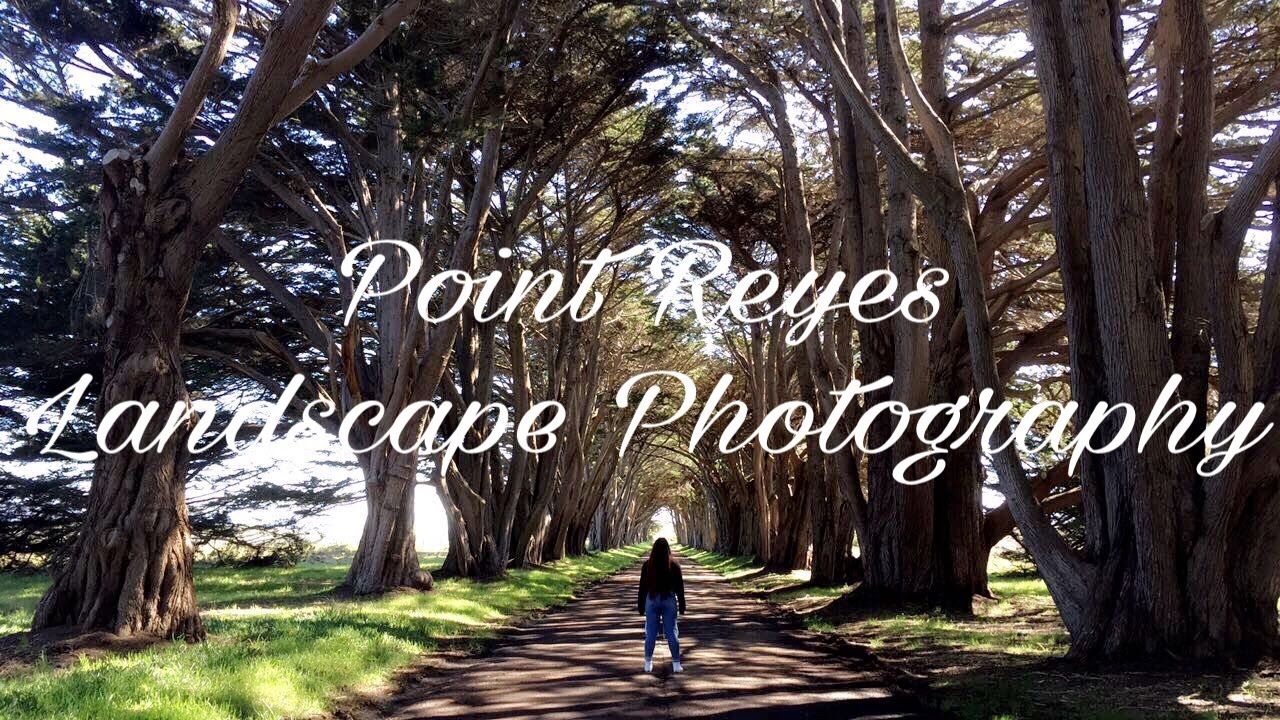 Point Reyes  -  Landscape Photography (Film Series ep 6)