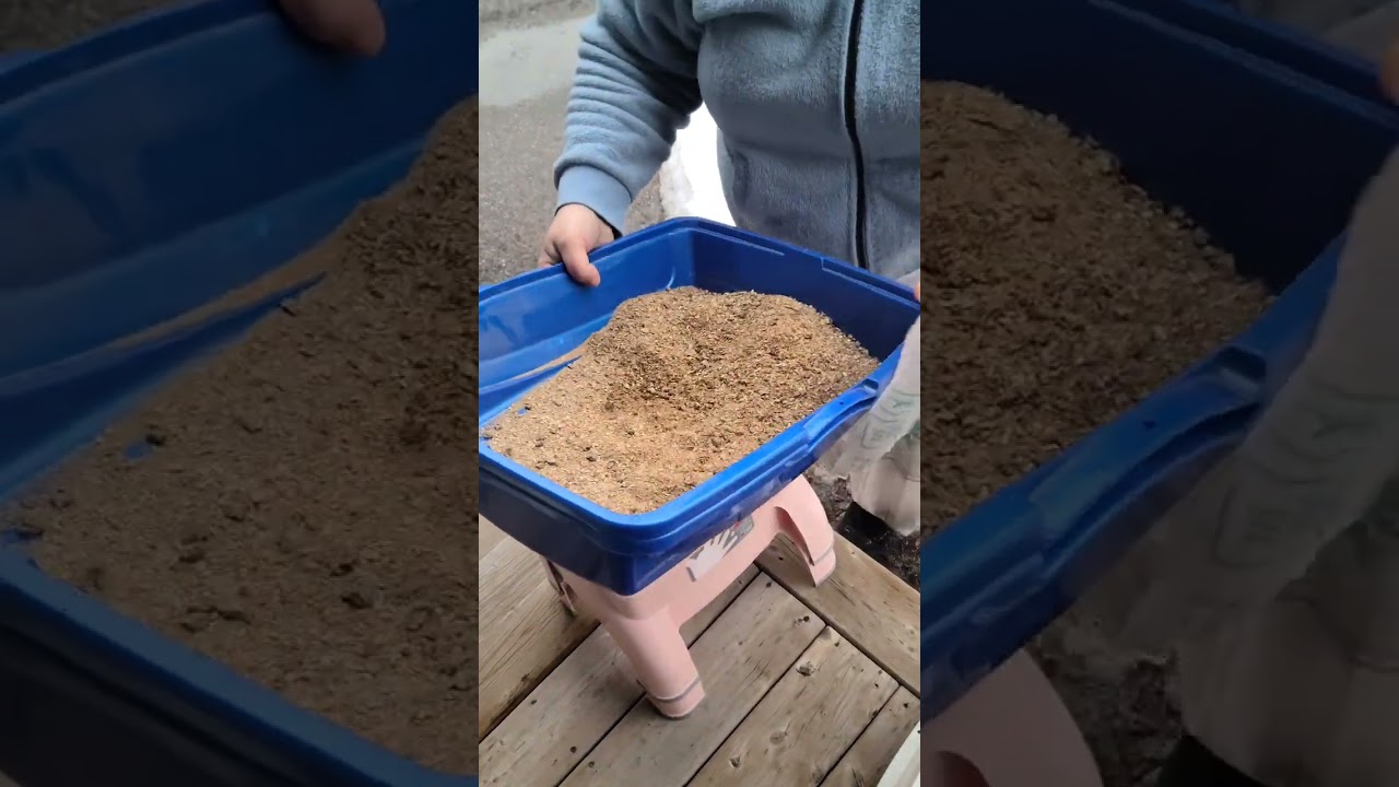 How to clean wood pellet cat litter